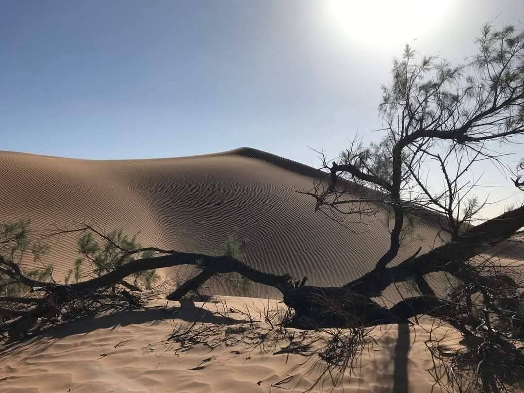 Désert de pierres, Désert de sable