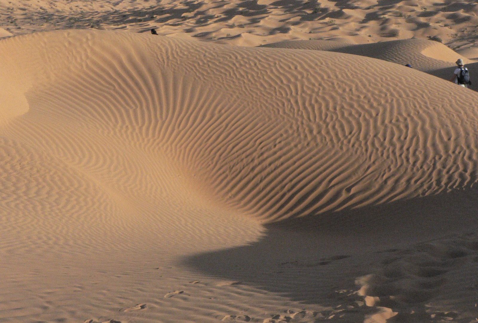 Balade au milieu des dunes