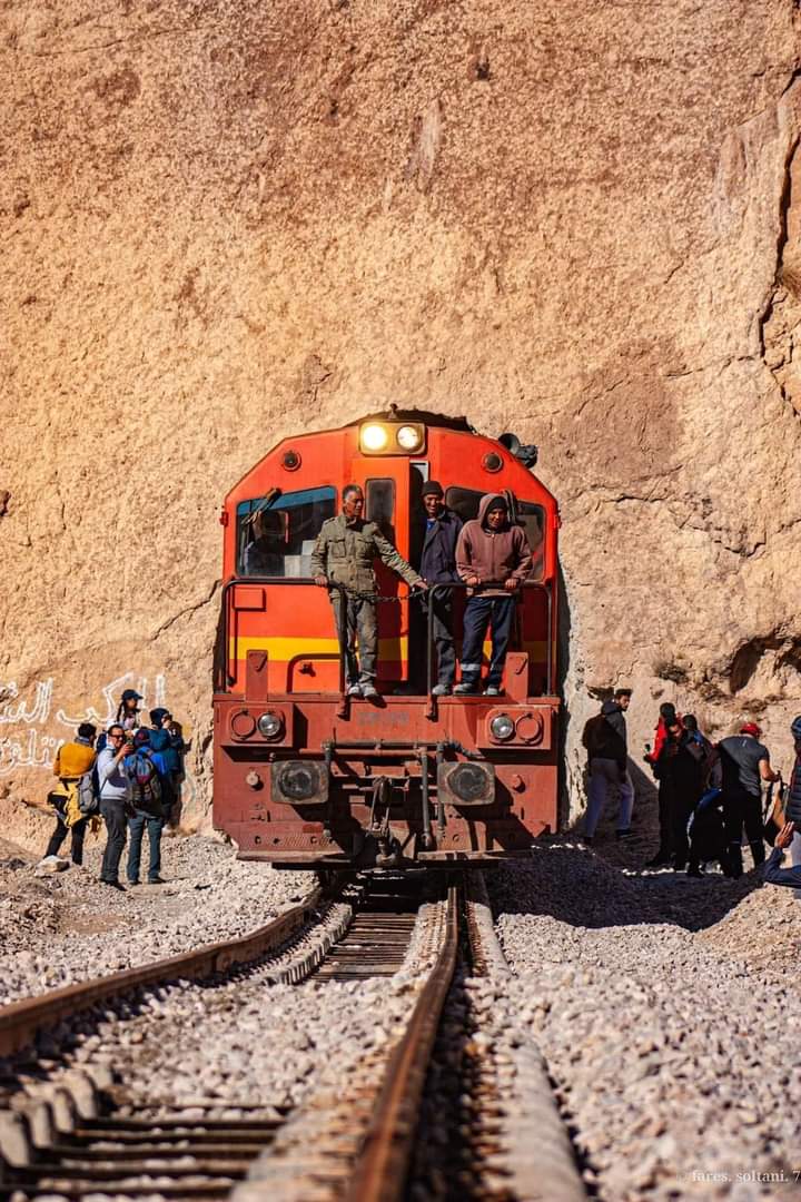 Le Lézard rouge et les oasis de montagne