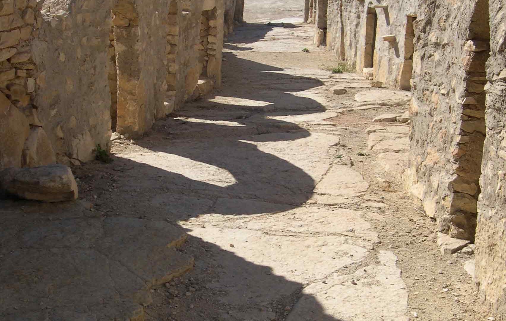 Marche à Zammour
